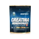 Creatina Monohidrato Gentech 250 G